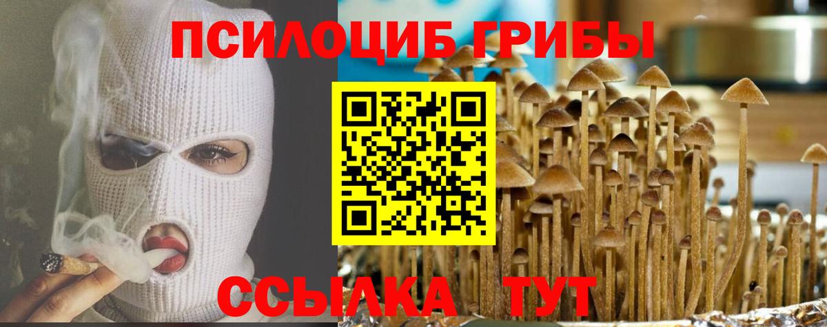 Галлюциногенные грибы прущие грибы  Вход с VPN  Губкин 